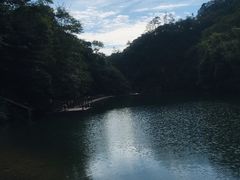 -祁门牯牛降观音堂风景区