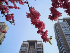 -木塔寺遗址生态公园