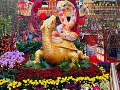 -越秀西湖花市(广州城市广场花卉店)