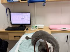 -邢大夫动物医院