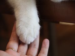 -echoes coffee回响咖啡(888街店)