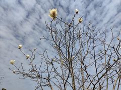 -中国移动南方基地