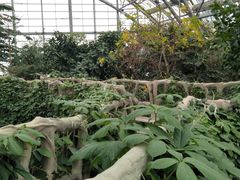 -南山植物园