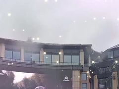 -CoCo都可(湖滨银泰店B区店)