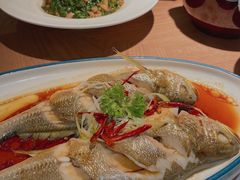 -波螺油子青岛本帮菜(银座店)