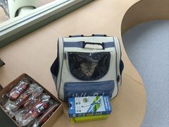 -爱佳宠物中心医院24H·CT·骨外科·猫专科(瑶海万达店)