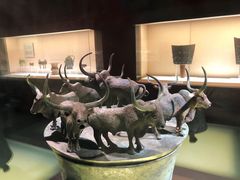 -上海博物馆(人民广场馆)