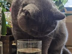 -花里花店(唐镇阳光天地店)