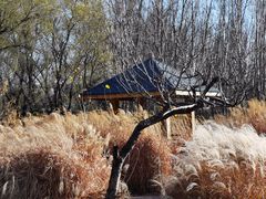 -野鸭湖国家湿地公园