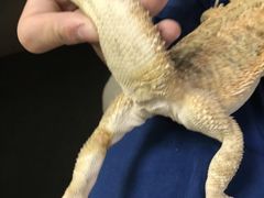 -爱诺耐芙动物医院(万博店)