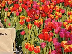 -Blue Concept Cafe&Farm·關於藍
