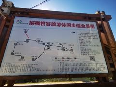 -大岭沟猕猴桃谷风景区