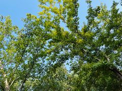 -盘龙城遗址博物院