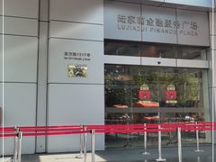 -陆家嘴金融服务广场