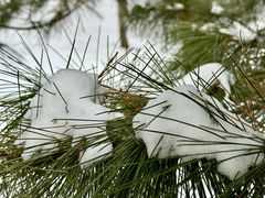 -森林公园(尖草坪区)