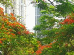 -万达广场(南宁青秀店)