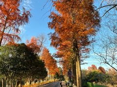 -西溪国家湿地公园