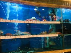 水产区-南海渔村(珠江新城店)