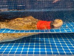 -神洲四海大酒楼(王府井澳门中心店)