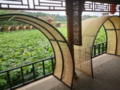 -渭南桃花源民俗文化园