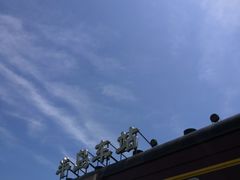 -西京湾花海