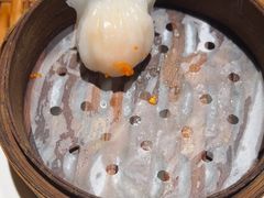 -老广酒楼(樱花店)