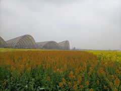 -中国天府农业博览园