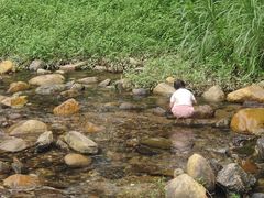 -梧桐山风景名胜区