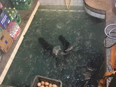 -旭龙鱼头王(航华店)
