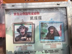-青岛动物园