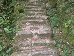 -西安祥峪森林公园