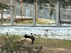 -西安秦岭野生动物园