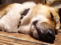 -阿木舂记·特色小吃(平江路店)