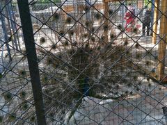 -长白岛森林公园