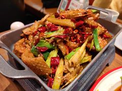 -俭寨大盘鸡·新疆菜·烧烤(博乐店)