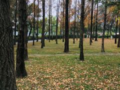 -成都南湖公园