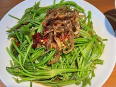 -菌自由丨野生菌火锅特色庭院餐厅(丽江古城店)