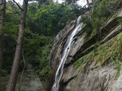 -内乡宝天曼生态旅游区