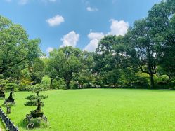 -丁香花园申粤轩·宴会厅