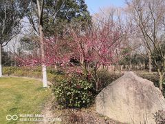 -昆山城市生态森林公园