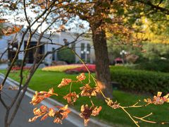 -西郊宾馆·1921餐厅