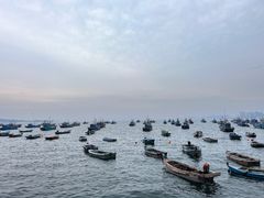 -海源公园