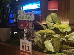 -老阿爸鲜鱼土菜(独墅湖店)