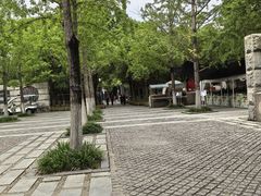 -上海吴淞炮台湾国家湿地公园