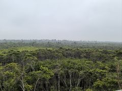 -东寨港红树林旅游区