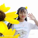周末绝美出游地～🌻