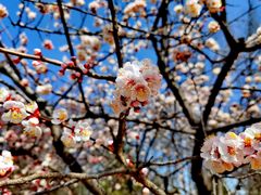 -鹫峰国家森林公园