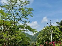 -海南热带雨林国家公园吊罗山景区