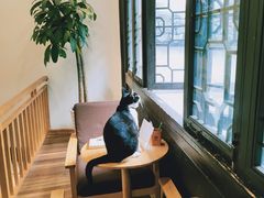 -猫的天空之城概念书店(杭州南宋御街店)