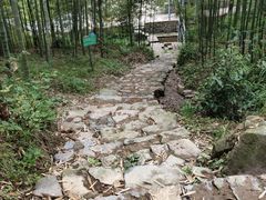 -莫干山风景区